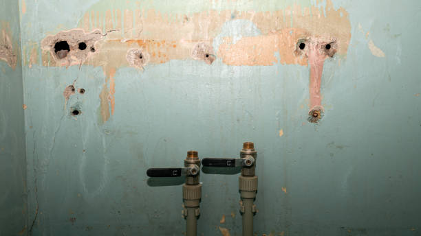 Best Ceiling water damage repair  in North Baltimore, OH