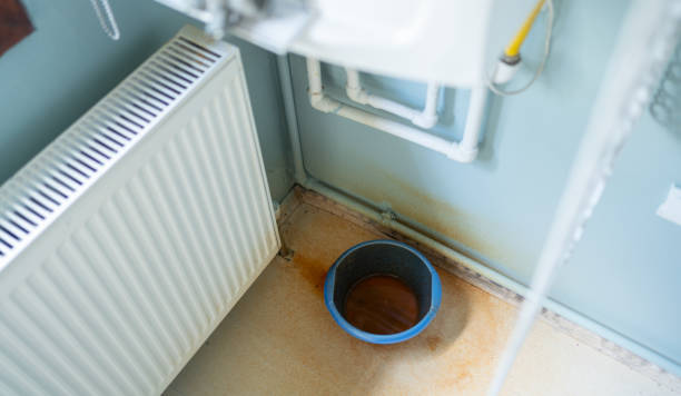 Best Water damage restoration services  in North Baltimore, OH